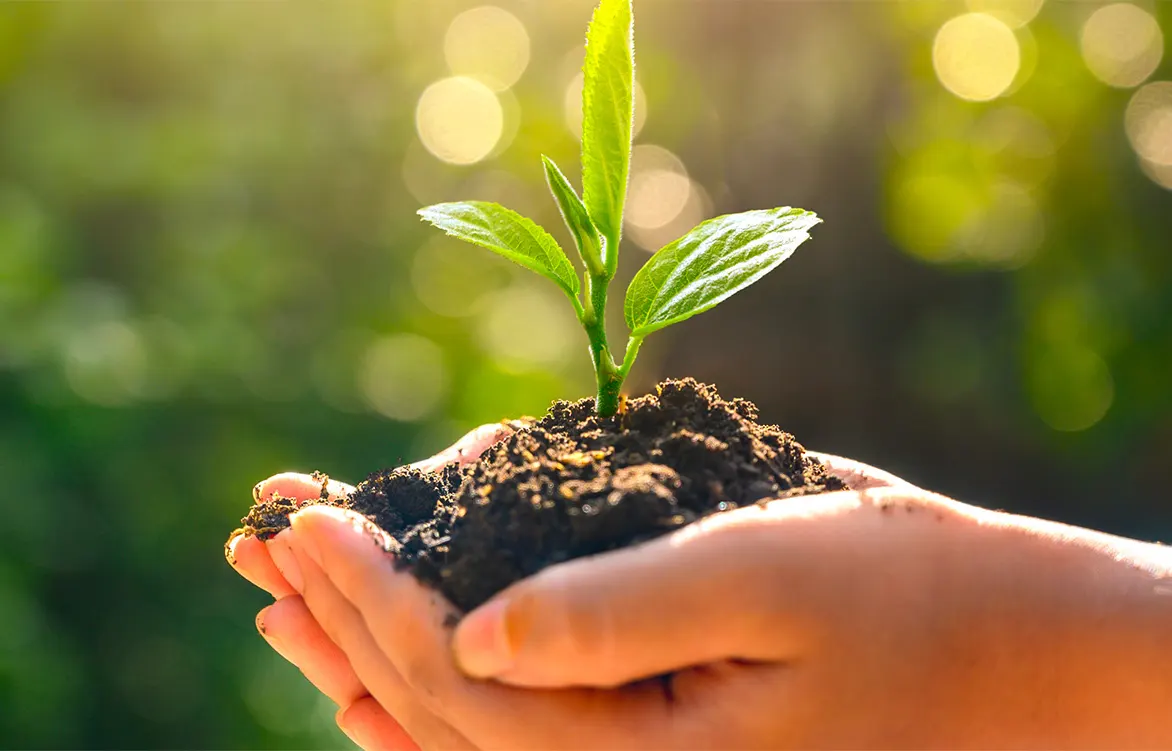 La Pellegrini ottiene la Medaglia di Platino EcoVadis 2025